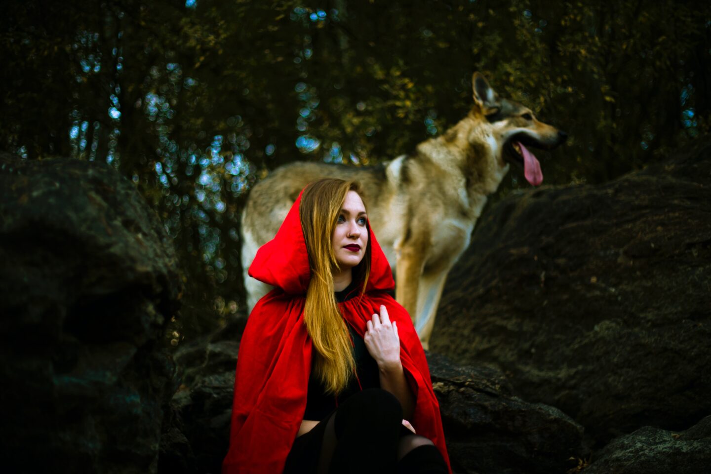 white woman wearing a red cape and hood standing in front of a wolf in the forest